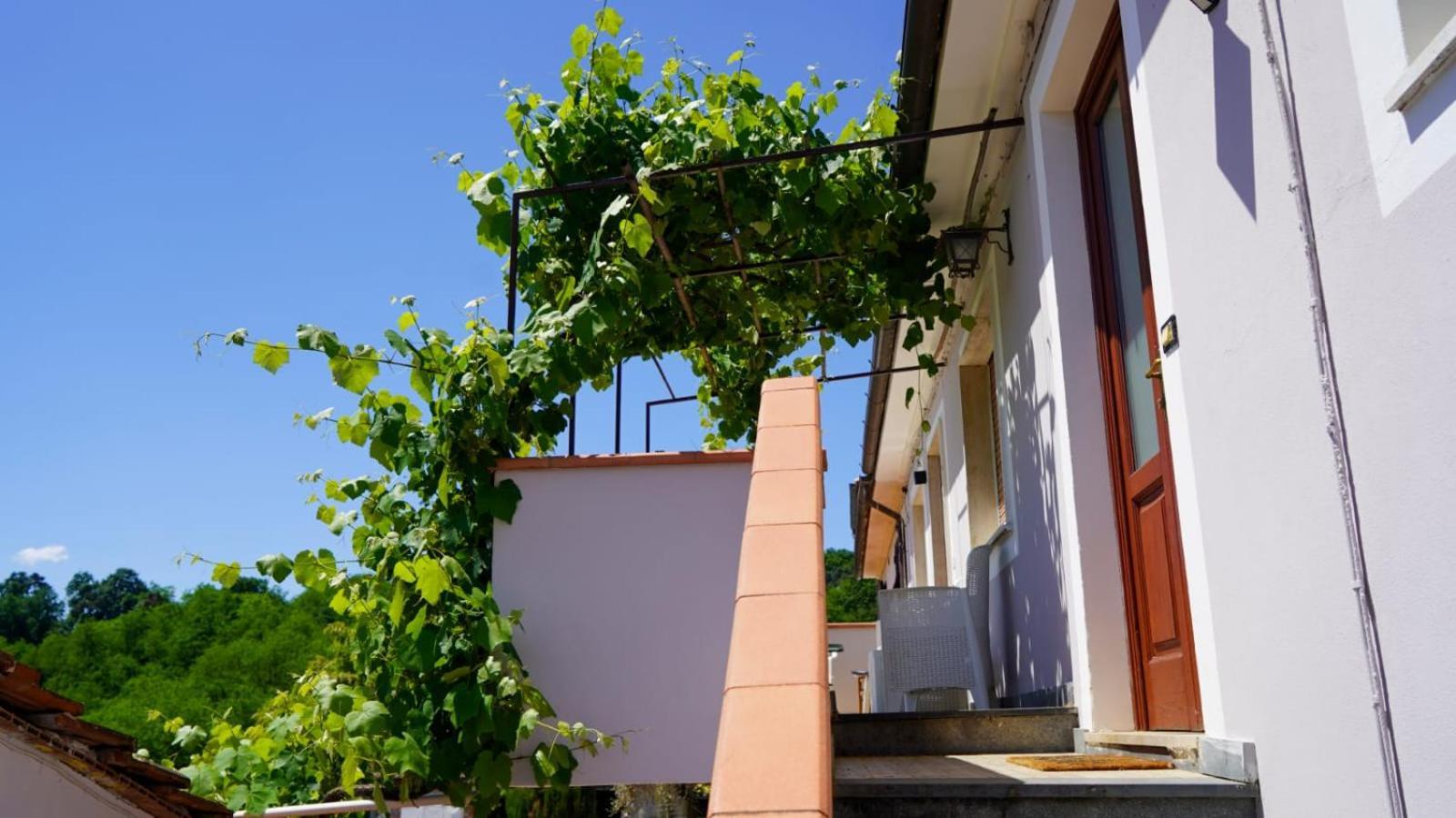 Wine House Bed & Breakfast Capannori Ngoại thất bức ảnh