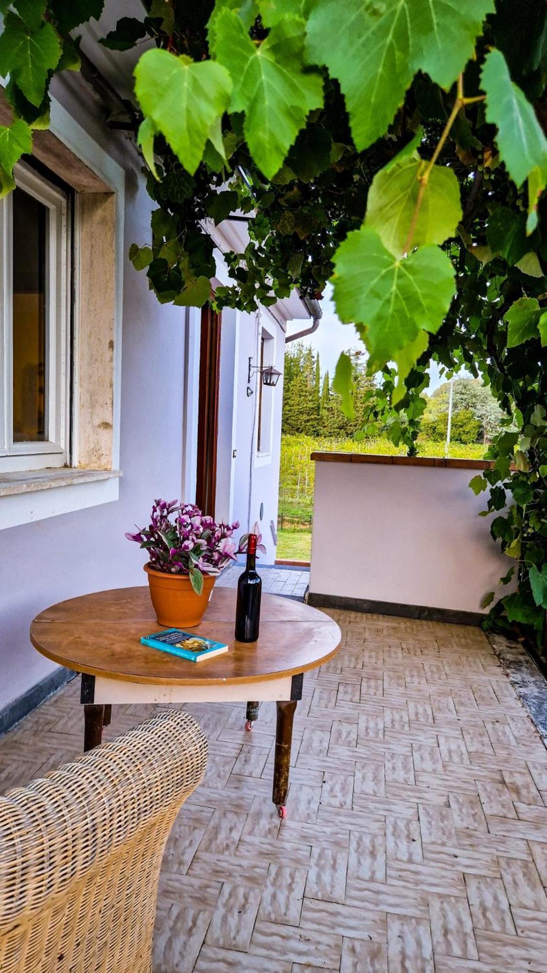 Wine House Bed & Breakfast Capannori Ngoại thất bức ảnh