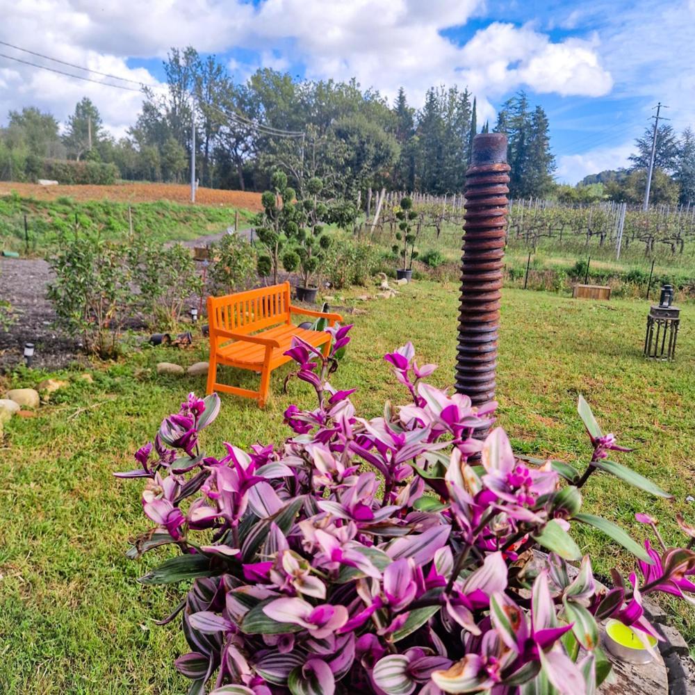 Wine House Bed & Breakfast Capannori Ngoại thất bức ảnh