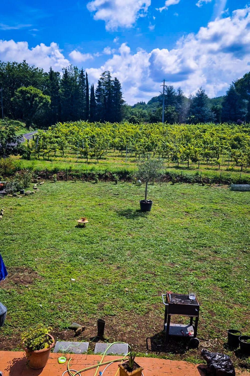 Wine House Bed & Breakfast Capannori Ngoại thất bức ảnh