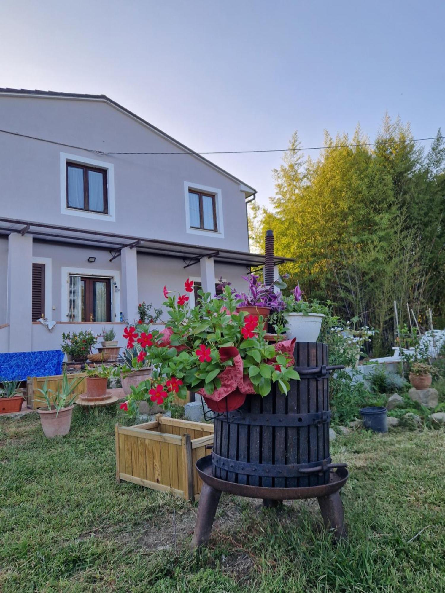 Wine House Bed & Breakfast Capannori Ngoại thất bức ảnh